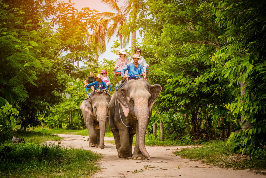 Touristen reiten auf Elefanten
