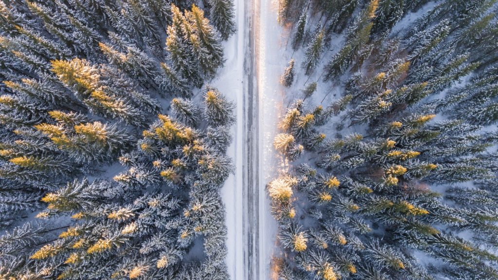 Verschneite Straße im Wald